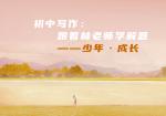初中写作：跟着林老师学解题——少年·成长