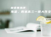 林老师热评海淀、西城高三一模大作文