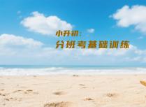 小升初：分班考基础训练