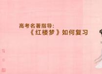 高考名著指导《红楼梦》如何复习